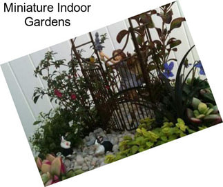 Miniature Indoor Gardens