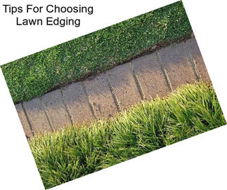 Tips For Choosing Lawn Edging