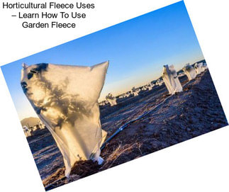 Horticultural Fleece Uses – Learn How To Use Garden Fleece