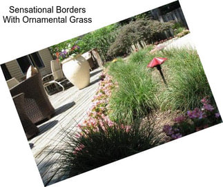 Sensational Borders With Ornamental Grass