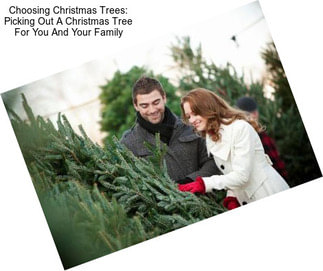 Choosing Christmas Trees: Picking Out A Christmas Tree For You And Your Family