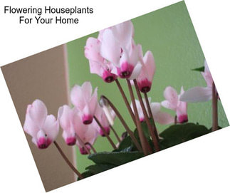 Flowering Houseplants For Your Home