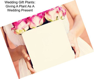 Wedding Gift Plants: Giving A Plant As A Wedding Present