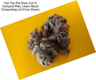 Can You Put Dryer Lint In Compost Piles: Learn About Composting Lint From Dryers