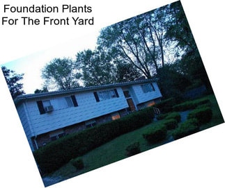 Foundation Plants For The Front Yard