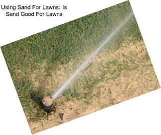 Using Sand For Lawns: Is Sand Good For Lawns