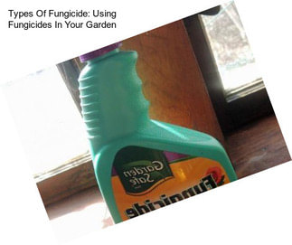 Types Of Fungicide: Using Fungicides In Your Garden