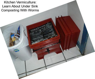 Kitchen Vermiculture: Learn About Under Sink Composting With Worms