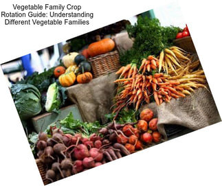 Vegetable Family Crop Rotation Guide: Understanding Different Vegetable Families
