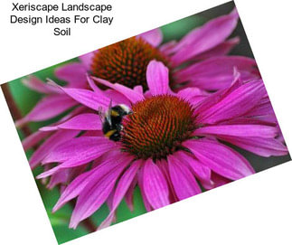 Xeriscape Landscape Design Ideas For Clay Soil