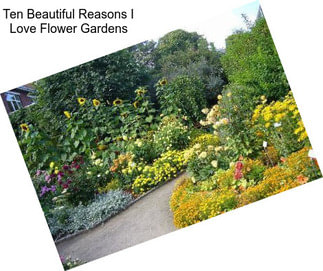 Ten Beautiful Reasons I Love Flower Gardens