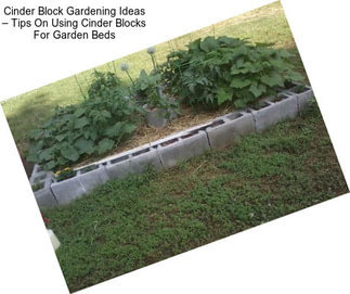 Cinder Block Gardening Ideas – Tips On Using Cinder Blocks For Garden Beds