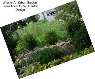 What Is An Urban Garden: Learn About Urban Garden Design