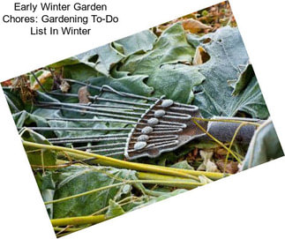 Early Winter Garden Chores: Gardening To-Do List In Winter