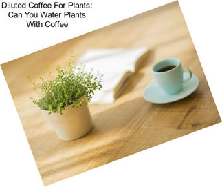 Diluted Coffee For Plants: Can You Water Plants With Coffee