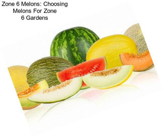 Zone 6 Melons: Choosing Melons For Zone 6 Gardens