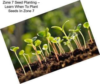 Zone 7 Seed Planting – Learn When To Plant Seeds In Zone 7