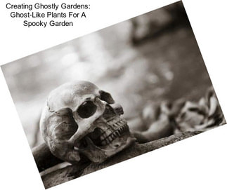 Creating Ghostly Gardens: Ghost-Like Plants For A Spooky Garden