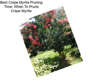 Best Crepe Myrtle Pruning Time: When To Prune Crepe Myrtle