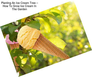 Planting An Ice Cream Tree – How To Grow Ice Cream In The Garden