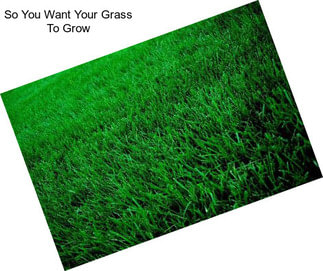 So You Want Your Grass To Grow