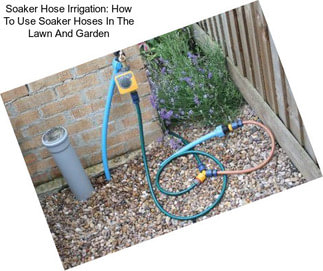 Soaker Hose Irrigation: How To Use Soaker Hoses In The Lawn And Garden