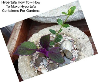 Hypertufa How To – How To Make Hypertufa Containers For Gardens