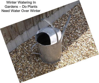 Winter Watering In Gardens – Do Plants Need Water Over Winter