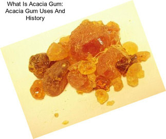 What Is Acacia Gum: Acacia Gum Uses And History