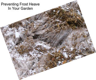 Preventing Frost Heave In Your Garden