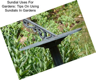Sundial Uses For Gardens: Tips On Using Sundials In Gardens
