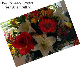 How To Keep Flowers Fresh After Cutting