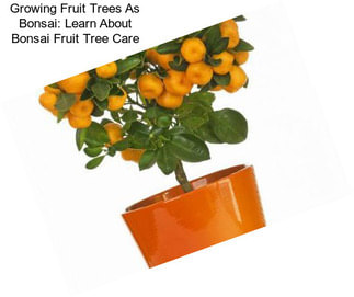 Growing Fruit Trees As Bonsai: Learn About Bonsai Fruit Tree Care