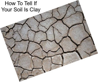 How To Tell If Your Soil Is Clay