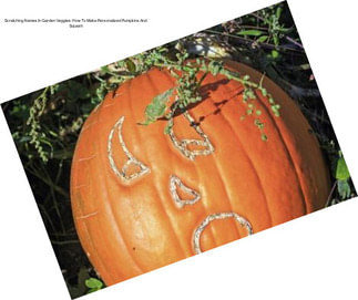 Scratching Names In Garden Veggies: How To Make Personalized Pumpkins And Squash