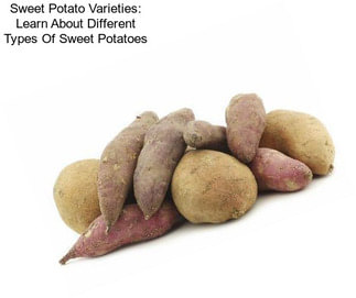 Sweet Potato Varieties: Learn About Different Types Of Sweet Potatoes