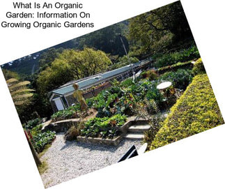 What Is An Organic Garden: Information On Growing Organic Gardens