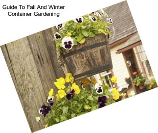 Guide To Fall And Winter Container Gardening