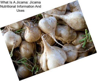 What Is A Jicama: Jicama Nutritional Information And Uses