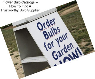 Flower Bulb Catalogs – How To Find A Trustworthy Bulb Supplier