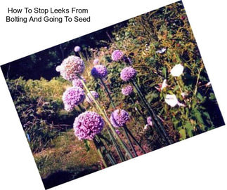 How To Stop Leeks From Bolting And Going To Seed