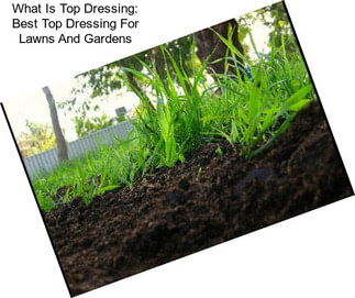 What Is Top Dressing: Best Top Dressing For Lawns And Gardens