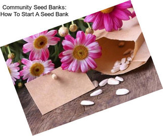 Community Seed Banks: How To Start A Seed Bank