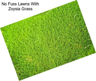 No Fuss Lawns With Zoysia Grass