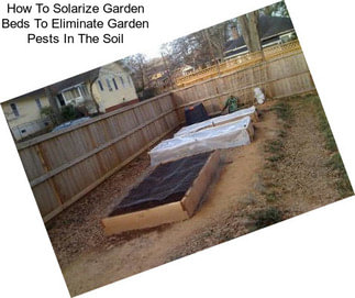 How To Solarize Garden Beds To Eliminate Garden Pests In The Soil
