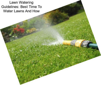 Lawn Watering Guidelines: Best Time To Water Lawns And How