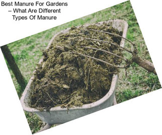 Best Manure For Gardens – What Are Different Types Of Manure