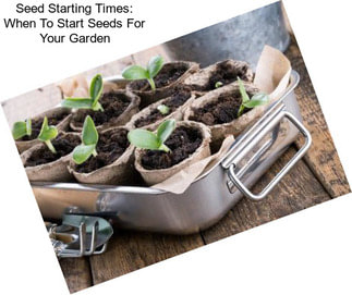 Seed Starting Times: When To Start Seeds For Your Garden