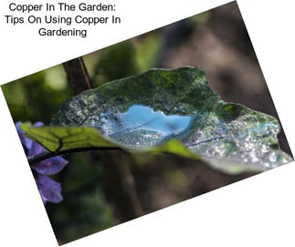Copper In The Garden: Tips On Using Copper In Gardening