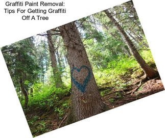 Graffiti Paint Removal: Tips For Getting Graffiti Off A Tree